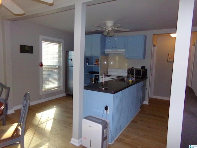 kitchen featuring a ceiling fan, dark countertops, freestanding refrigerator, under cabinet range hood, and a sink