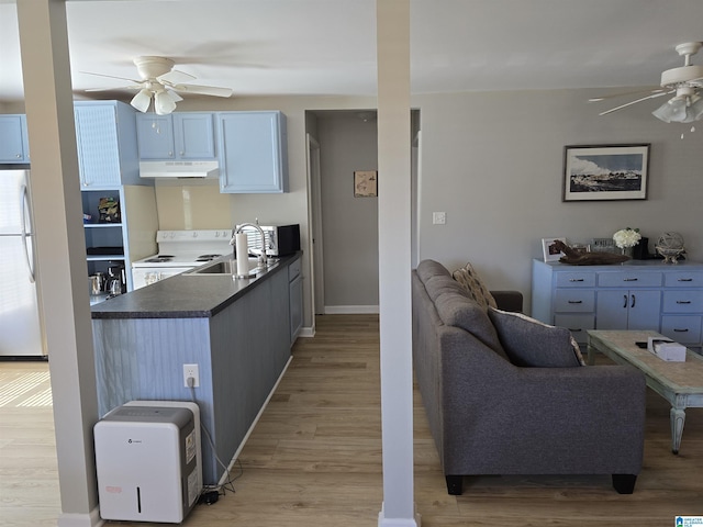 kitchen featuring under cabinet range hood, white appliances, a ceiling fan, light wood finished floors, and dark countertops