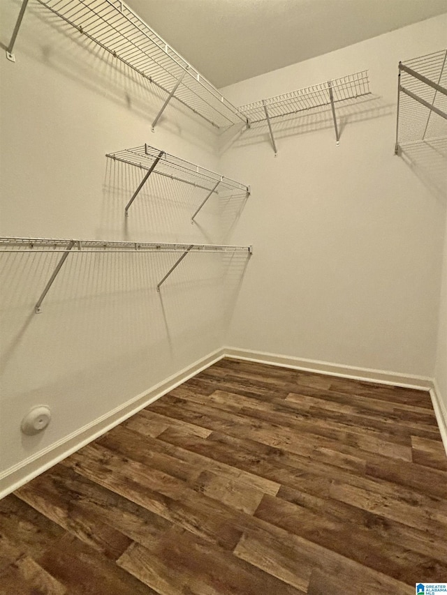 spacious closet featuring dark hardwood / wood-style floors