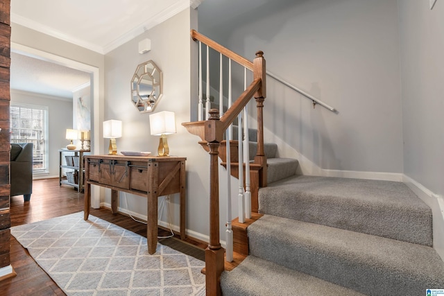 stairway featuring crown molding and hardwood / wood-style flooring