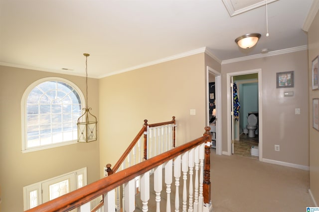 hall featuring ornamental molding and carpet floors