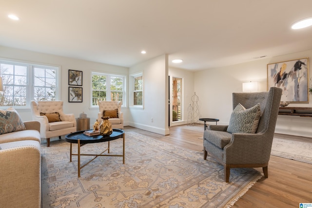 living room featuring light hardwood / wood-style flooring