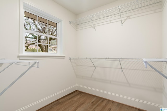 spacious closet with wood-type flooring