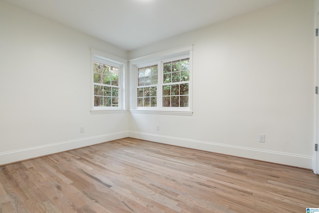 spare room featuring a wealth of natural light and light wood-type flooring