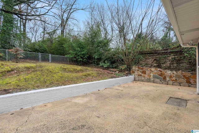 view of yard featuring a patio