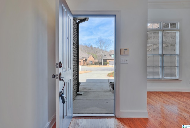 foyer entrance with light wood-type flooring