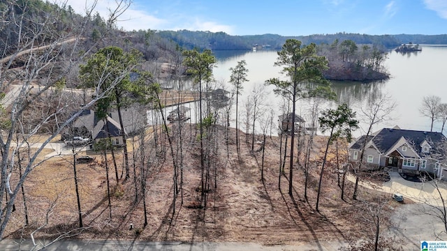 2147 Eagle Mountain Rd Unit 12, Rockford AL, 35136 land for sale