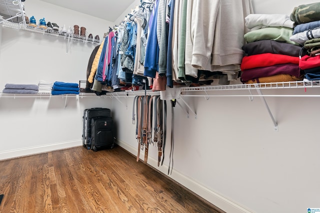 spacious closet with hardwood / wood-style flooring