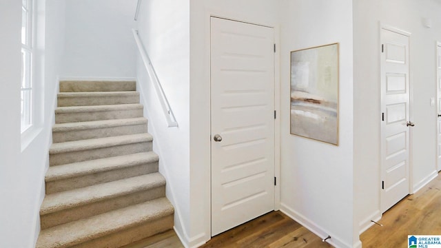 staircase featuring hardwood / wood-style floors