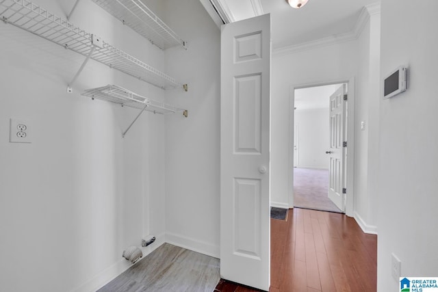 spacious closet featuring dark wood-type flooring