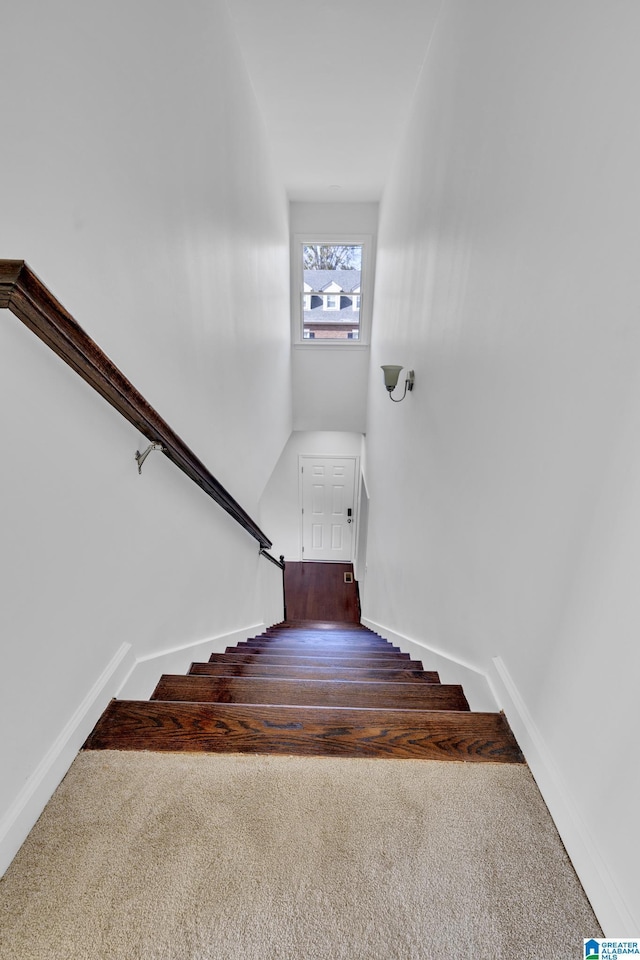 stairway featuring carpet flooring