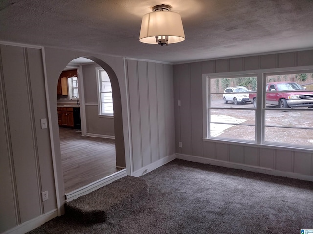 carpeted spare room featuring sink, a textured ceiling, and a wealth of natural light