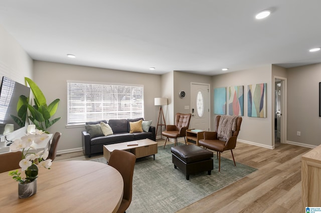 living room with light wood-type flooring