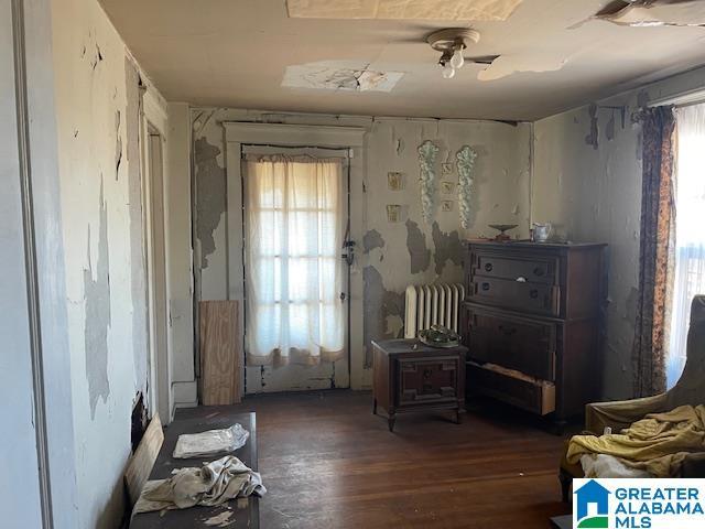 misc room with a wealth of natural light, radiator heating unit, and dark hardwood / wood-style floors