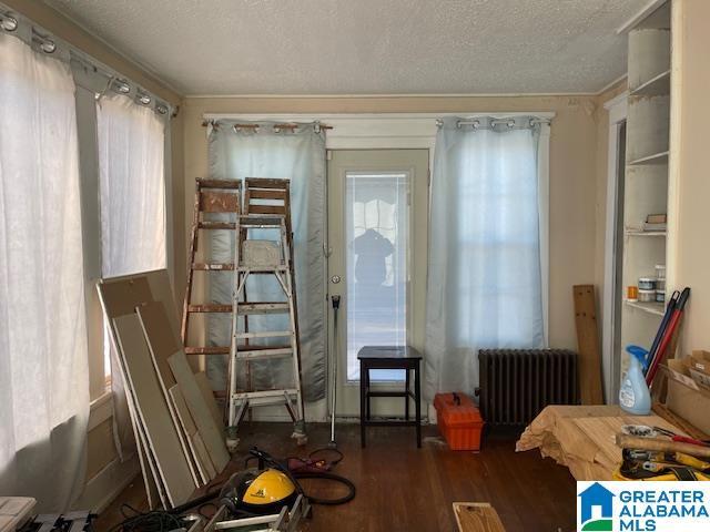 miscellaneous room featuring plenty of natural light, radiator, dark wood-type flooring, and a textured ceiling