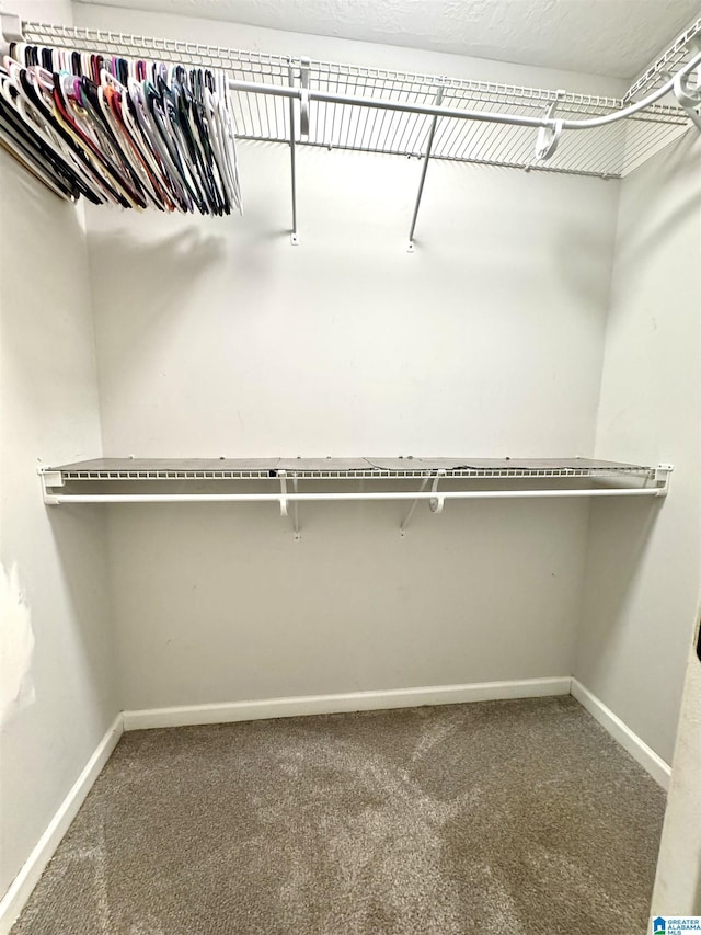 spacious closet with carpet flooring