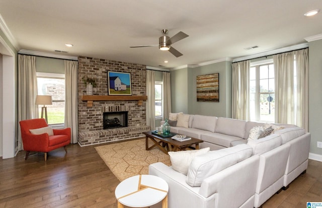 living room with crown molding, plenty of natural light, a fireplace, and dark hardwood / wood-style flooring