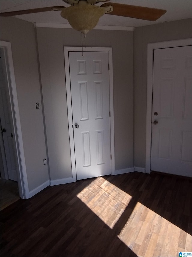 foyer entrance featuring dark hardwood / wood-style flooring