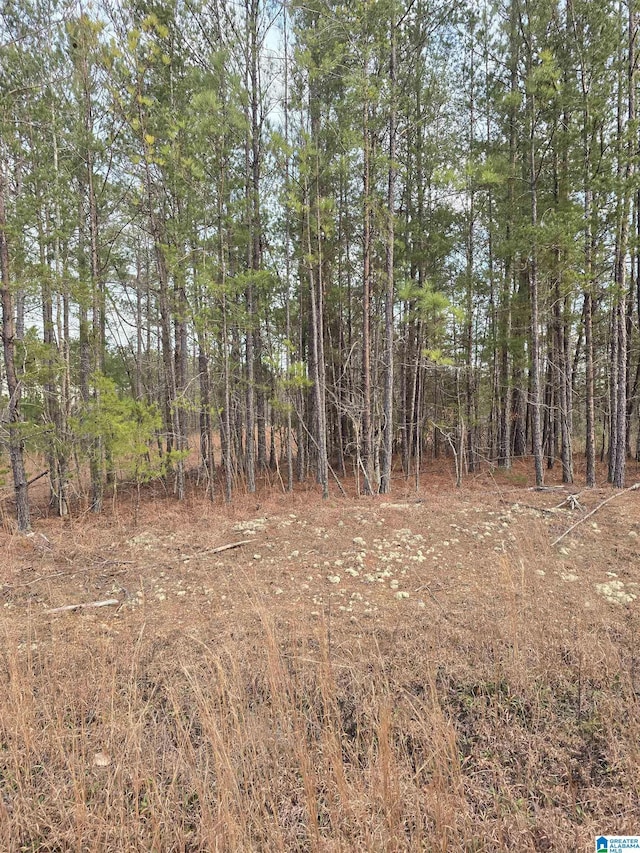 385 County Road 886 Unit 20, Jemison AL, 35085 land for sale