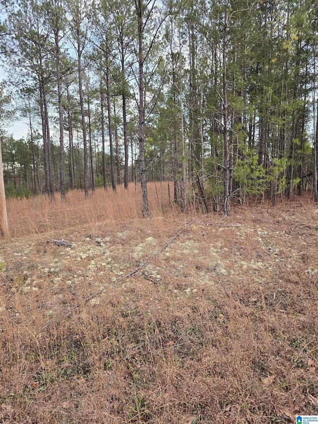 Listing photo 2 for 385 County Road 886 Unit 20, Jemison AL 35085