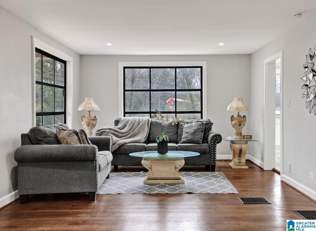 living room with dark wood-type flooring