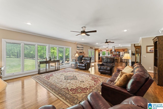 living room featuring crown molding, ceiling fan, and light wood-type flooring