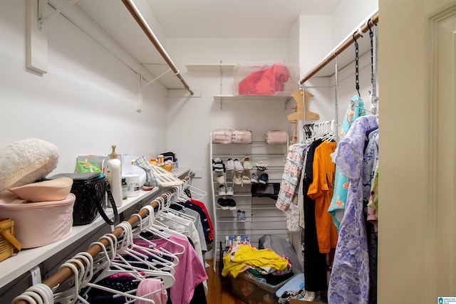 spacious closet featuring hardwood / wood-style floors