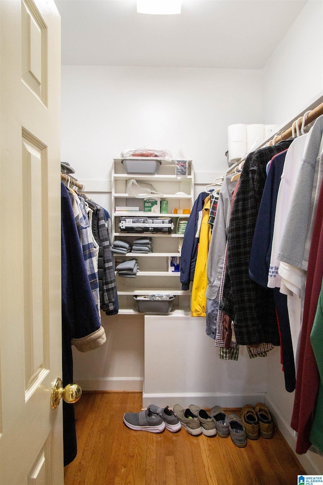 spacious closet featuring wood-type flooring