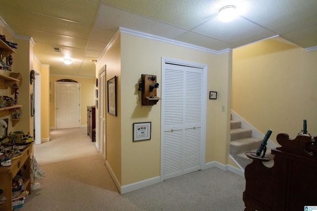 hallway with crown molding, light carpet, and a drop ceiling