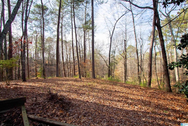 view of landscape