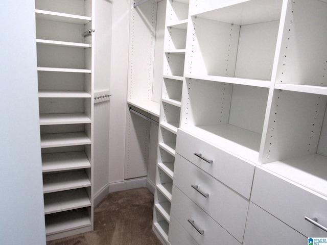 view of walk in closet