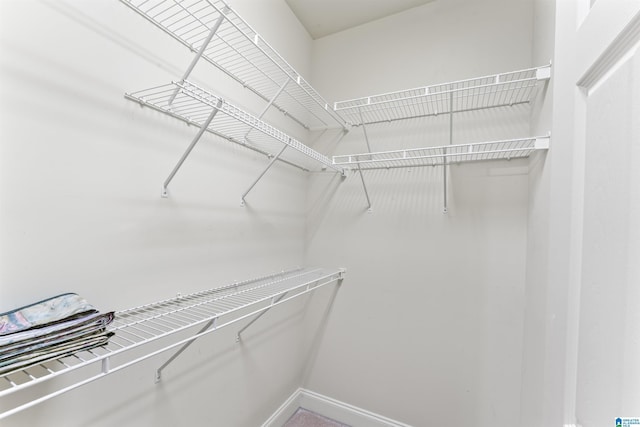 view of spacious closet