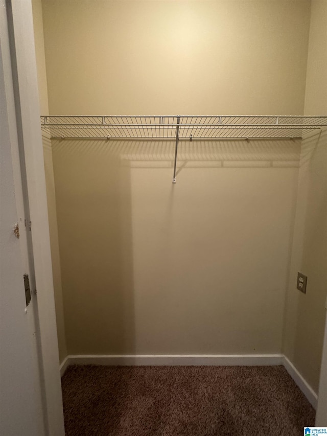 walk in closet with carpet