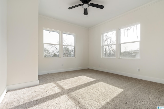 carpeted spare room featuring ornamental molding and ceiling fan