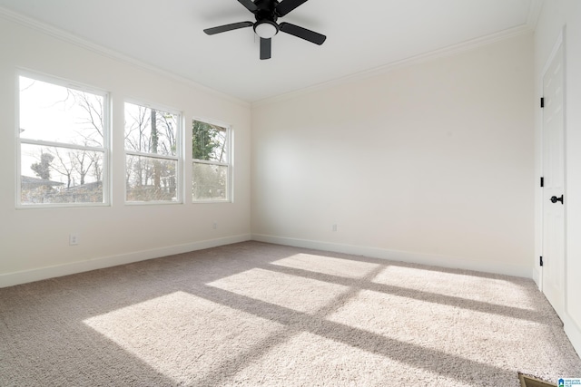 spare room with crown molding, carpet flooring, and ceiling fan