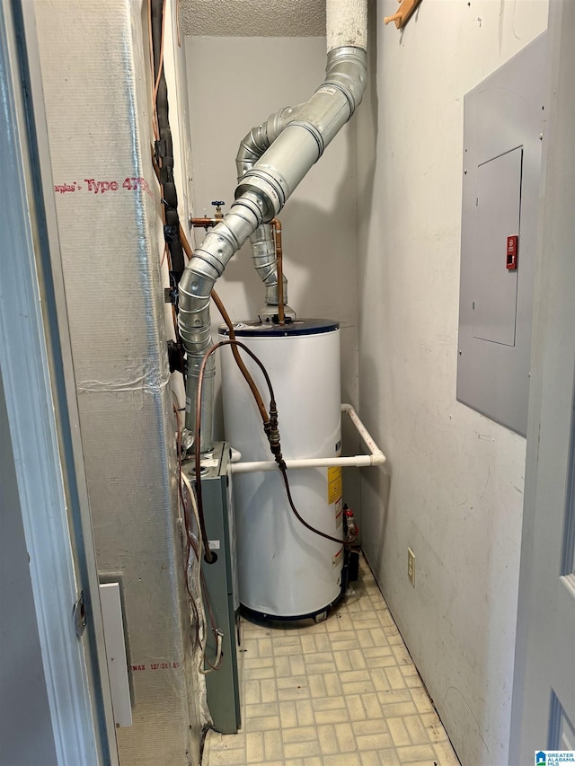 utilities with gas water heater and electric panel