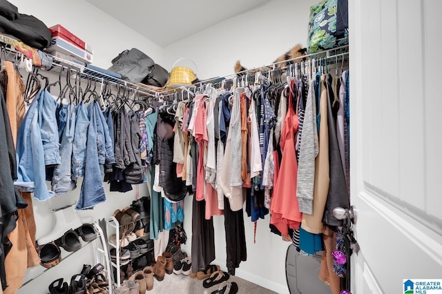 spacious closet featuring carpet flooring