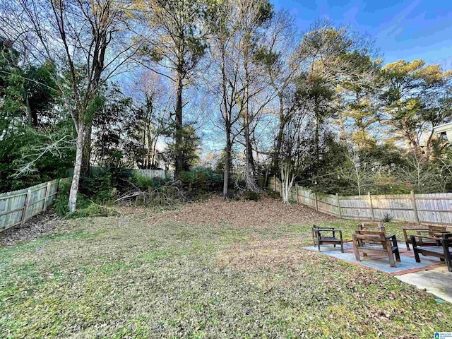 view of yard with a patio area