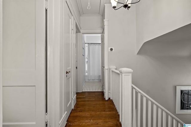 hallway featuring crown molding and dark hardwood / wood-style floors