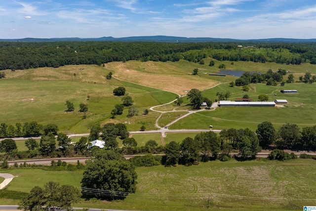 birds eye view of property featuring a rural view