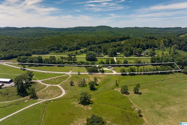 bird's eye view featuring a rural view