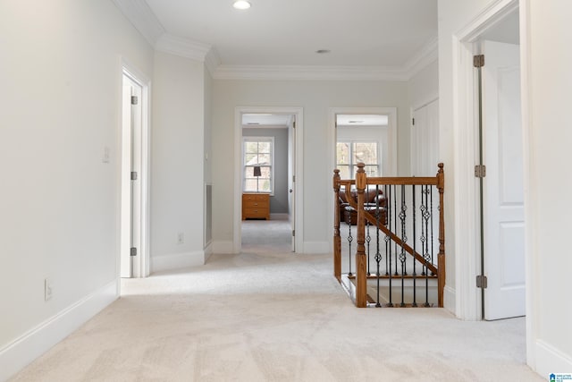 hall featuring crown molding and light colored carpet