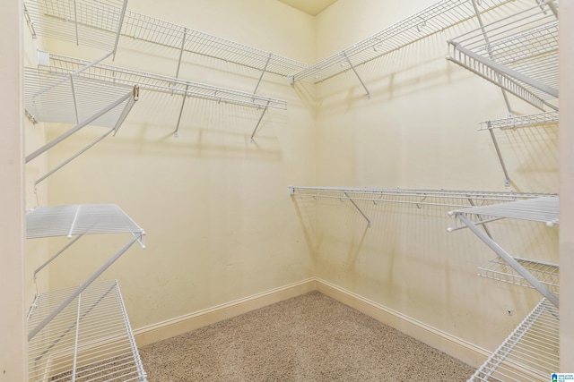 spacious closet featuring carpet