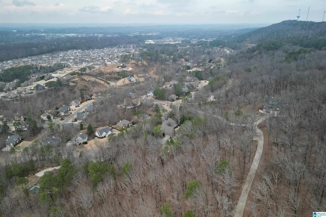 aerial view with a mountain view