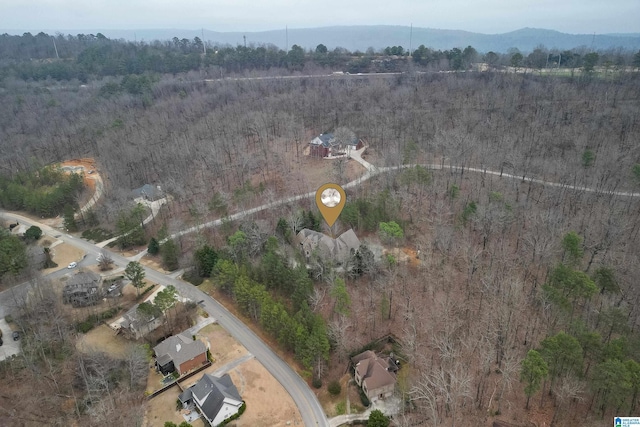 drone / aerial view featuring a mountain view