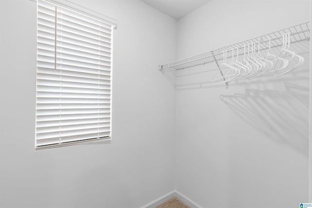 view of spacious closet