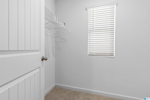 spacious closet with carpet floors