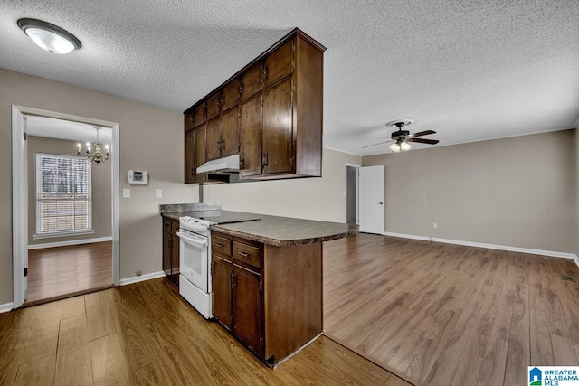 kitchen featuring ceiling fan with notable chandelier, dark brown cabinets, white electric range oven, and light wood-type flooring