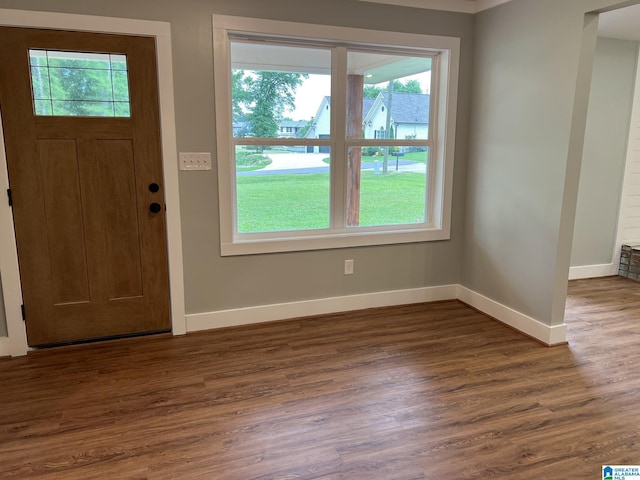 entrance foyer featuring dark wood-type flooring