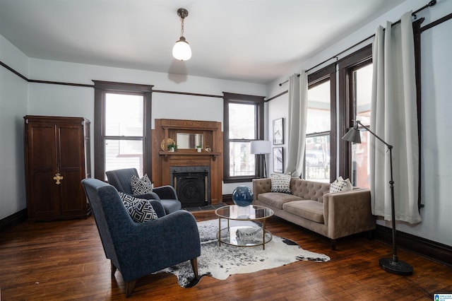 living room featuring dark hardwood / wood-style flooring